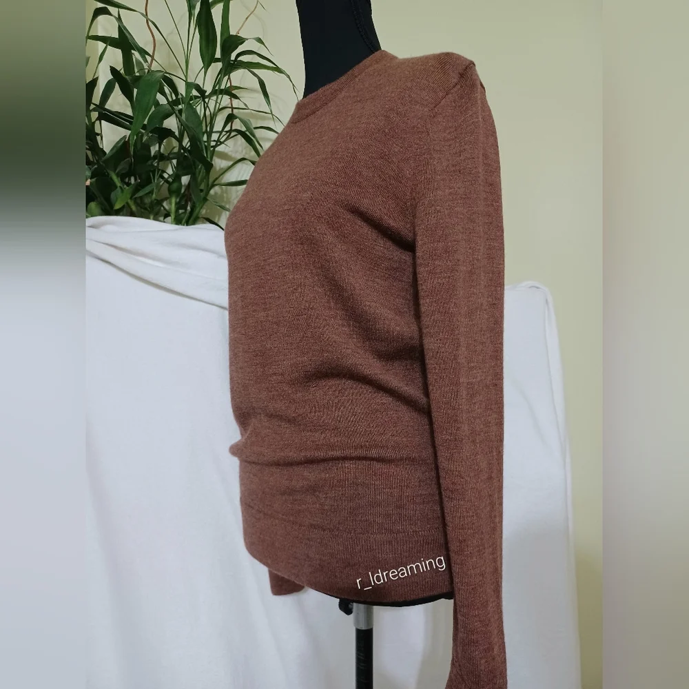 NWOT Brown Merino Wool Sweater Size XS By Banana Republic Factory